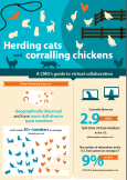 herding cats_thumbnail
